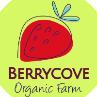 Berrycove Limited